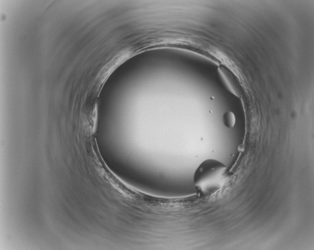 X0000060261377200511010902