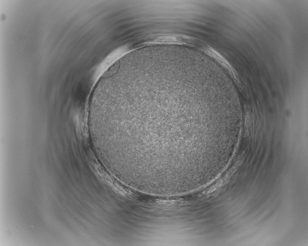 X0000060261378200511010902