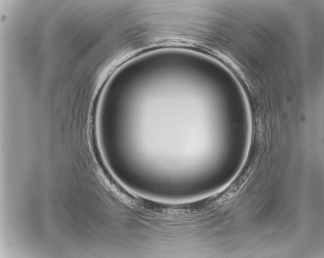 X0000060261379200511010902