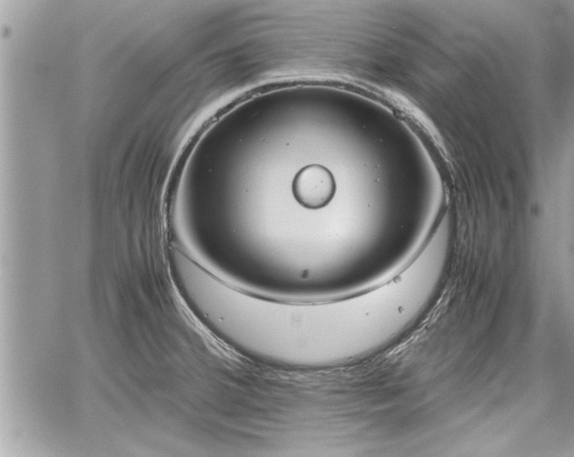 X0000060261380200511010902