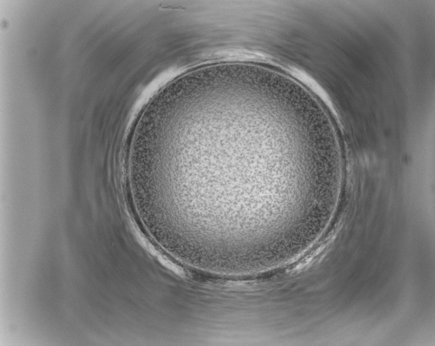 X0000060261381200511010902