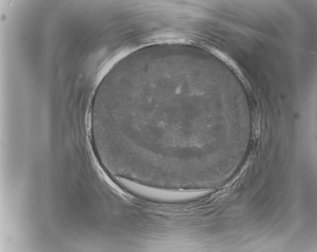 X0000060261383200511010902