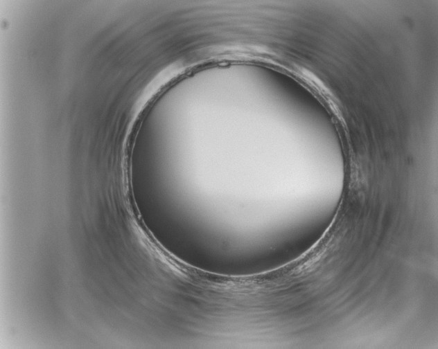 X0000060261384200511010902