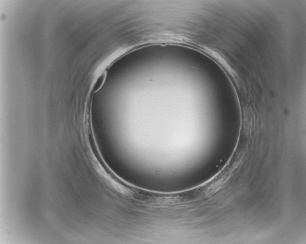 X0000060261387200511010902