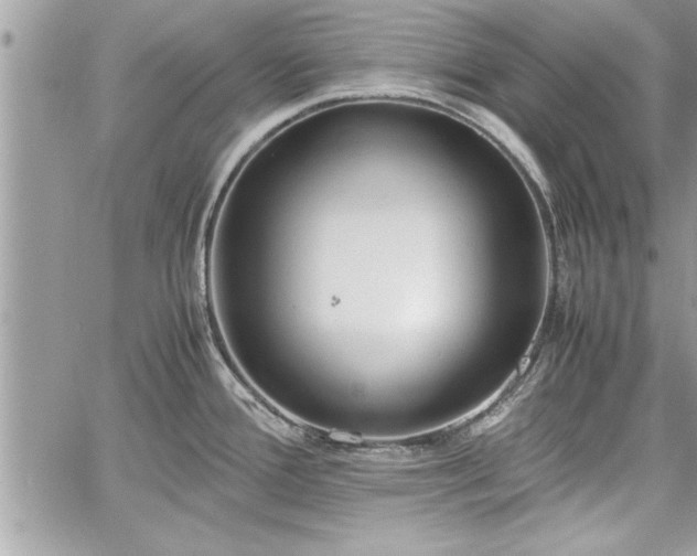 X0000060261388200511010902