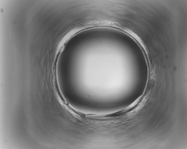 X0000060261389200511010901