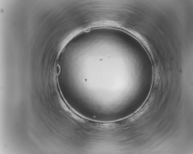 X0000060261390200511010901