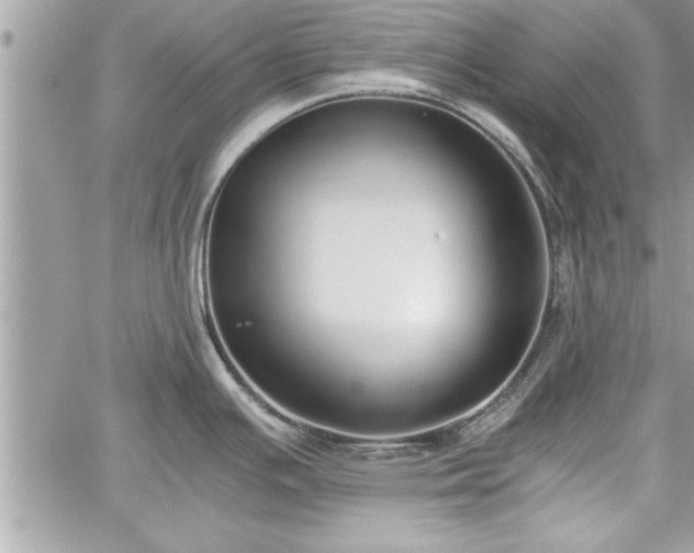 X0000060261391200511010901