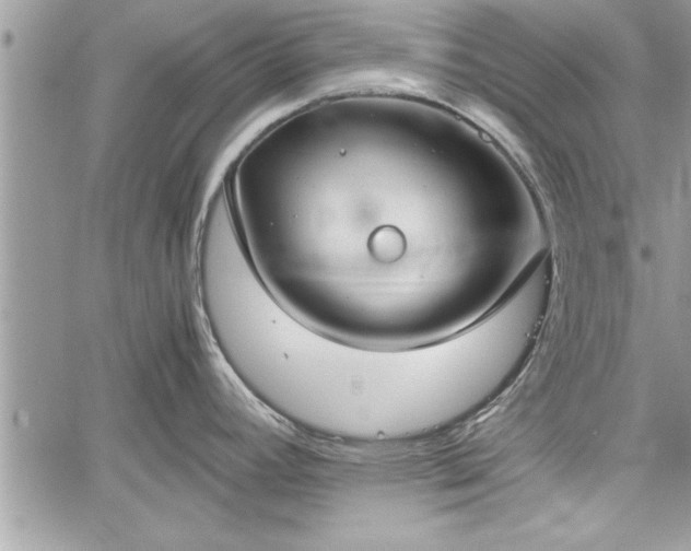 X0000060261392200511010901