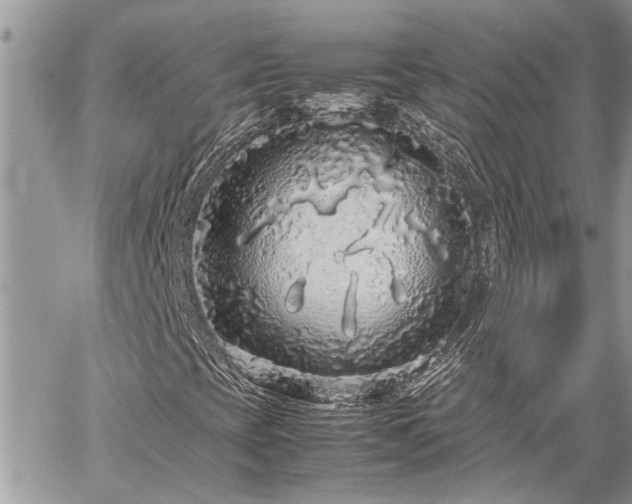 X0000060261393200511010901