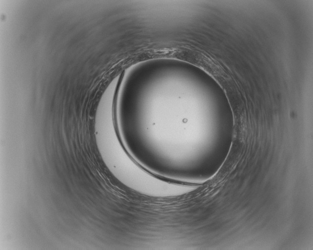 X0000060261394200511010901