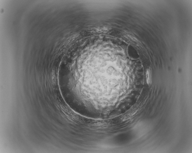 X0000060261395200511010901