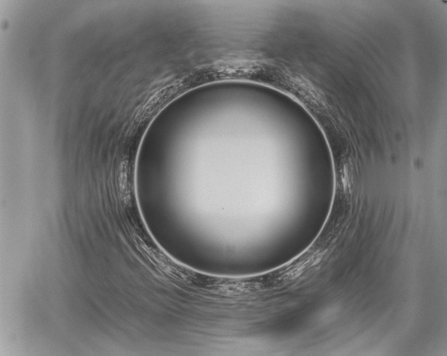 X0000060261396200511010901