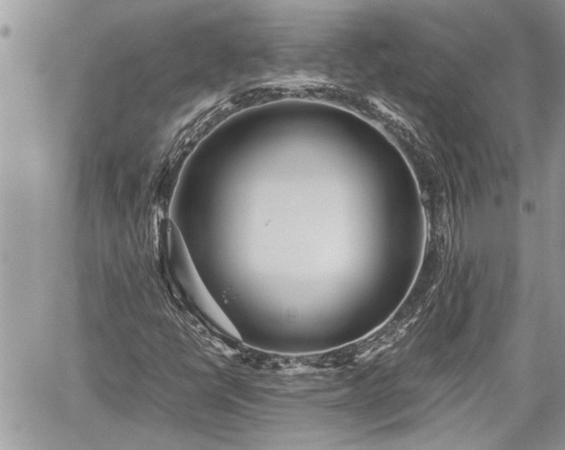 X0000060261398200511010901