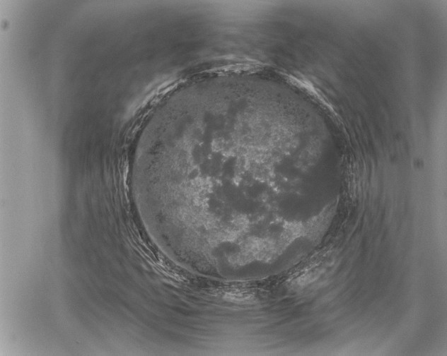 X0000060261399200511010901