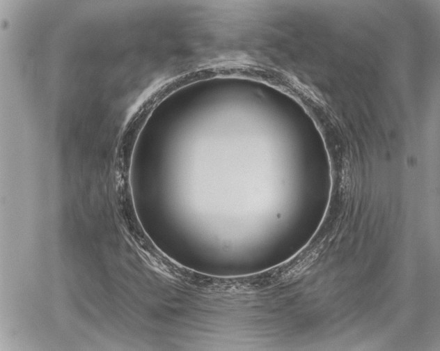 X0000060261400200511010901