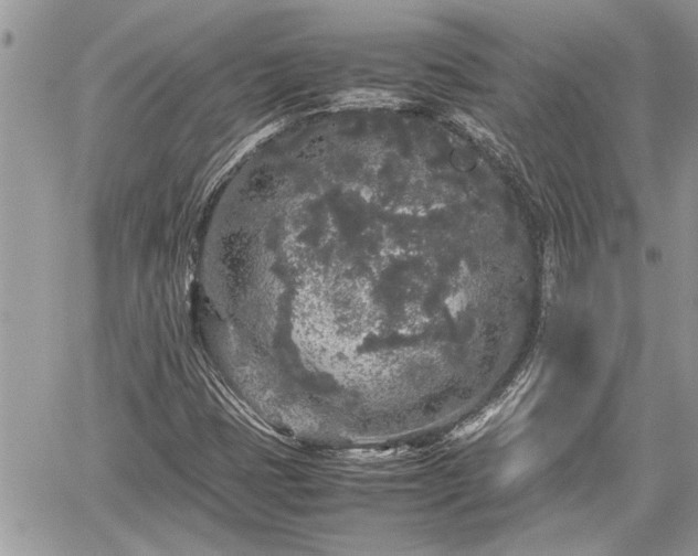 X0000060261401200511010901