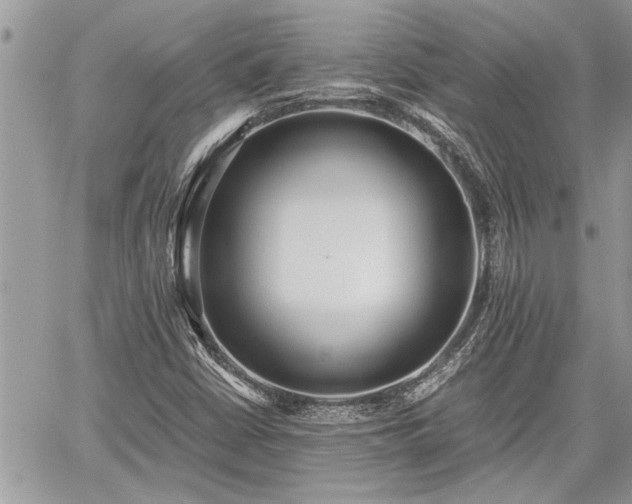 X0000060261402200511010901