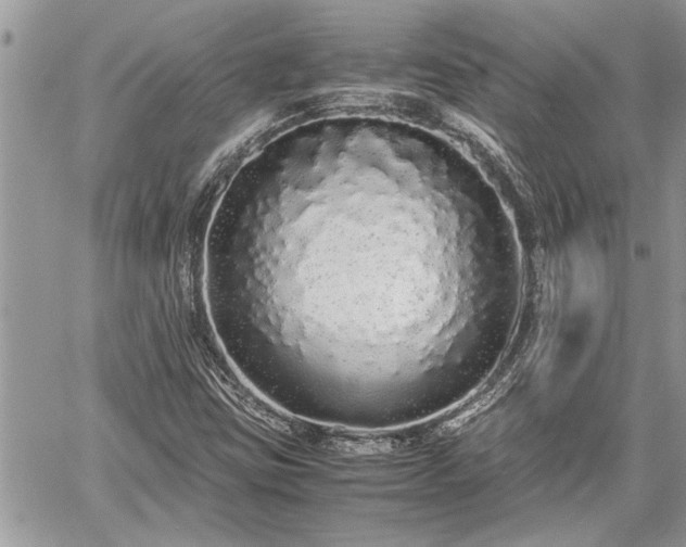 X0000060261403200511010901