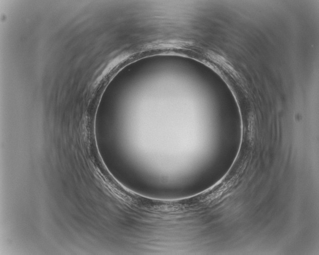 X0000060261404200511010901