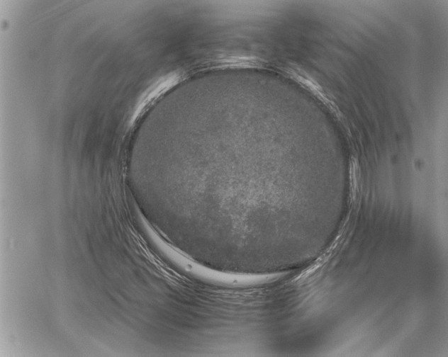 X0000060261405200511010901