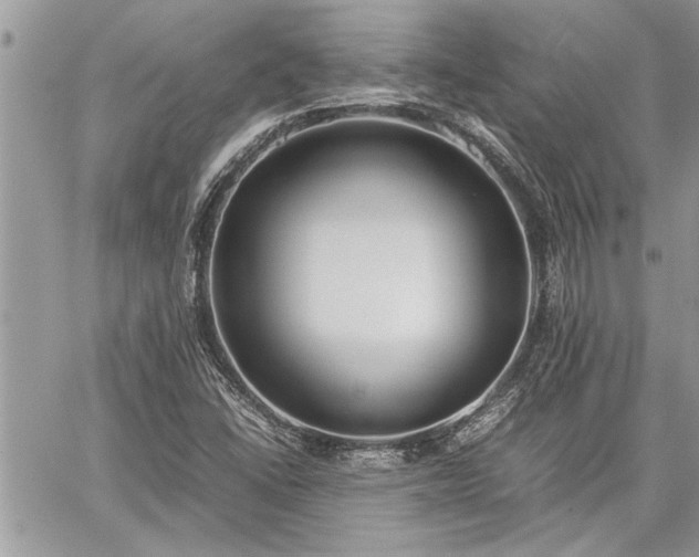 X0000060261406200511010901