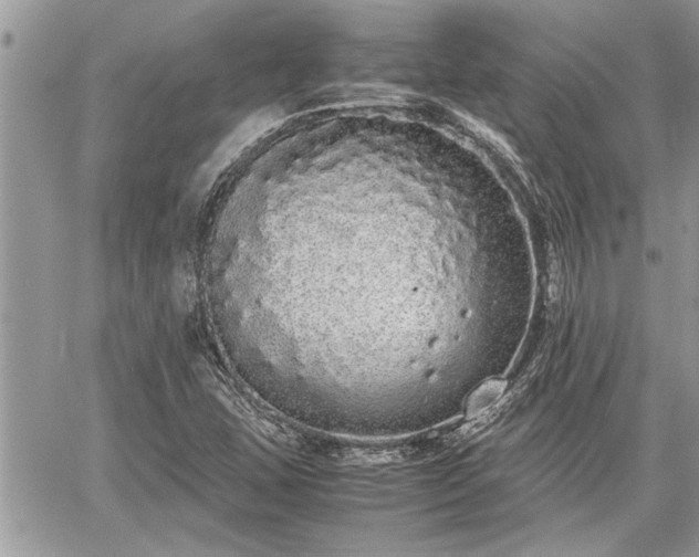 X0000060261407200511010901