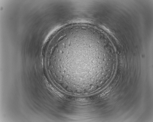 X0000060261408200511010901