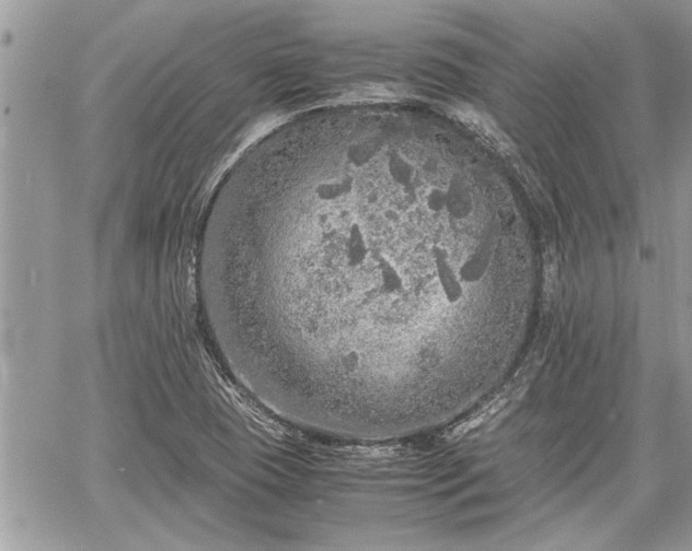 X0000060261409200511010901