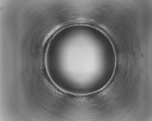 X0000060261410200511010901