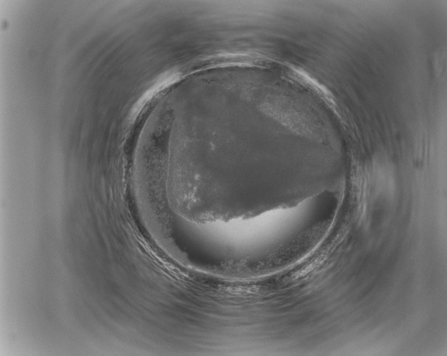 X0000060261411200511010901