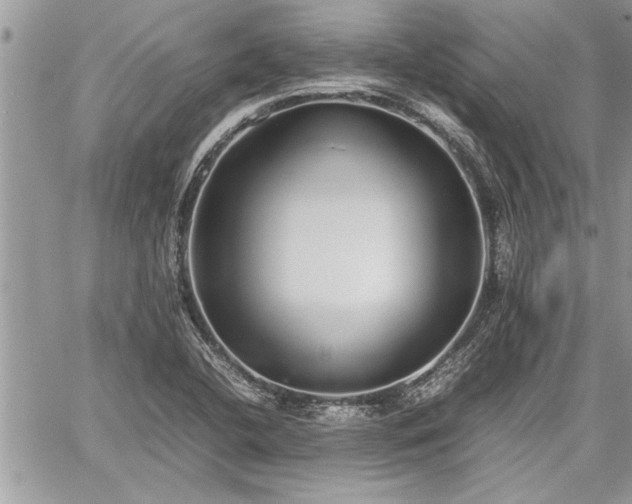 X0000060261412200511010901