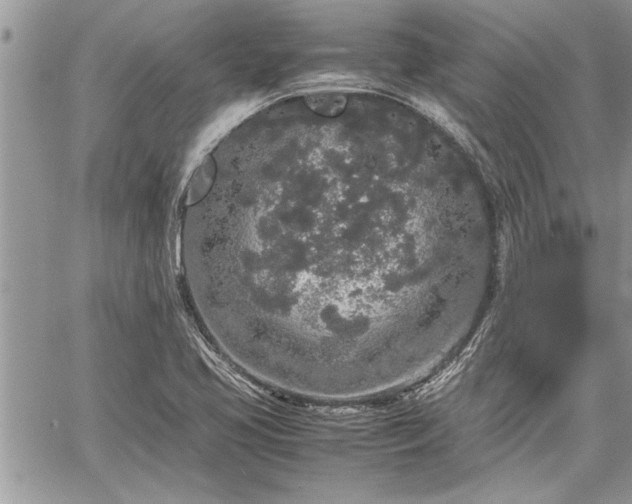 X0000060261413200511010901