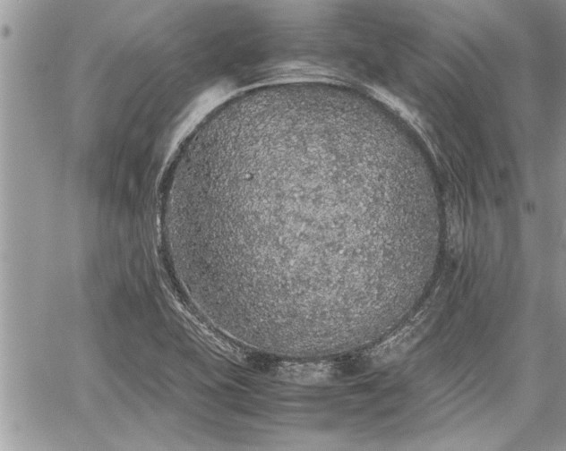 X0000060261415200511010901