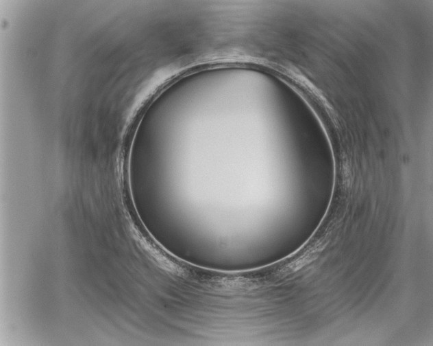 X0000060261416200511010901