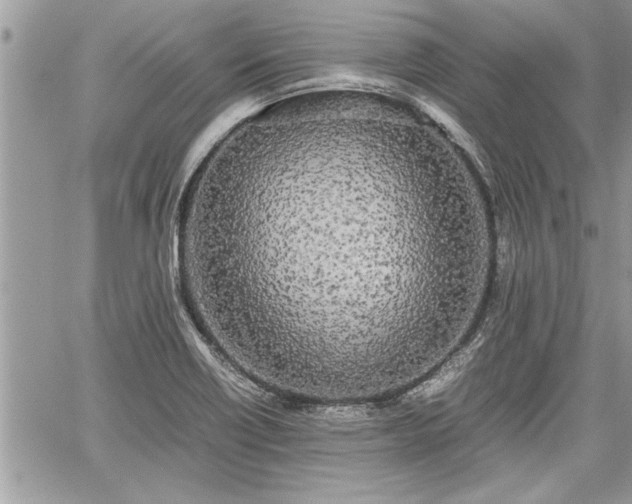 X0000060261418200511010901