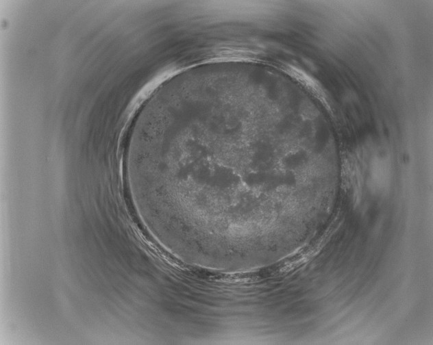 X0000060261419200511010901