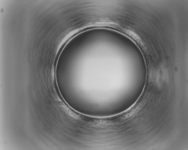 X0000060261420200511010901