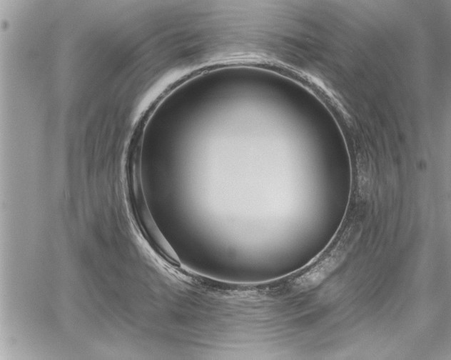 X0000060261422200511010901