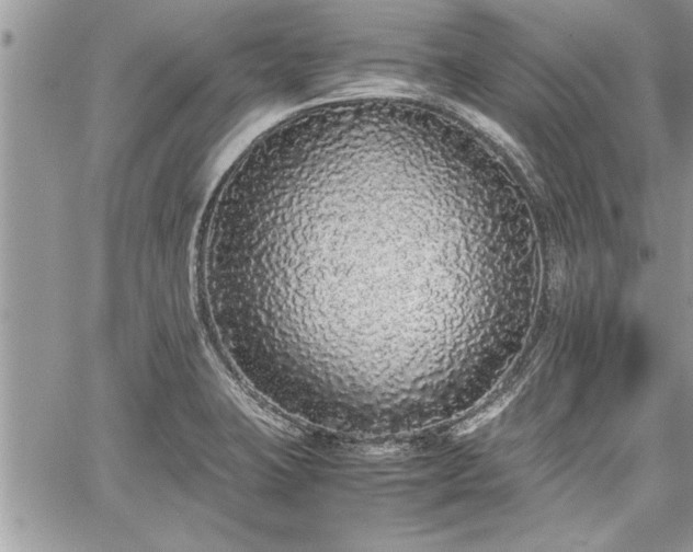 X0000060261423200511010901