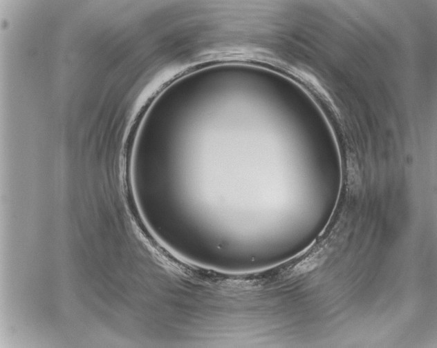 X0000060261424200511010901