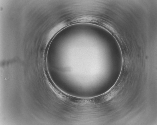 X0000060261426200511010901