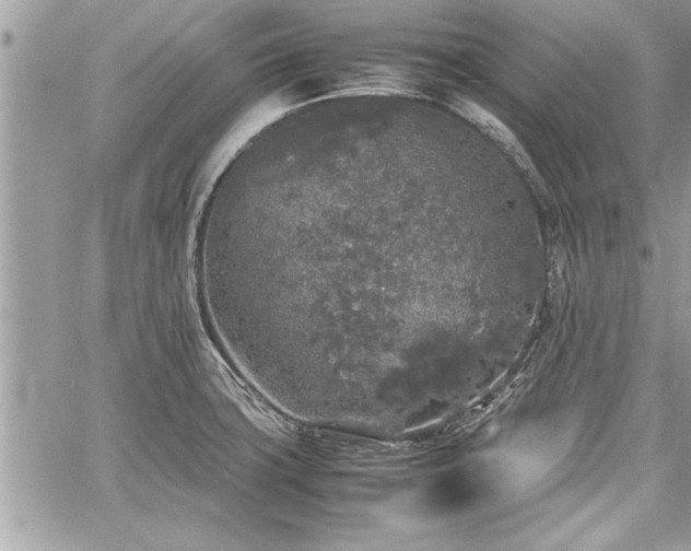 X0000060261427200511010901