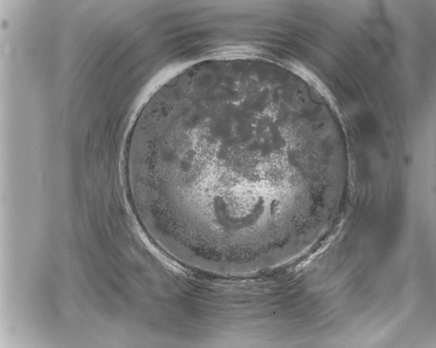 X0000060261429200511010901