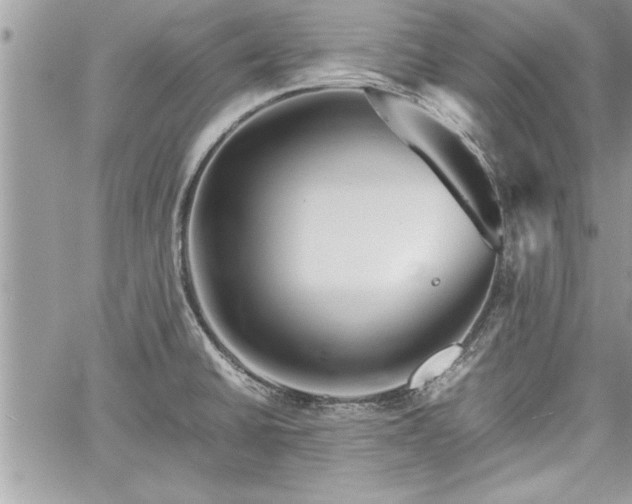 X0000060261430200511010901