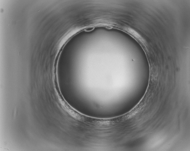 X0000060261431200511010901