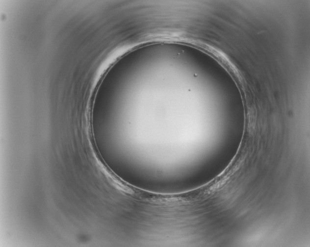 X0000060261432200511010901