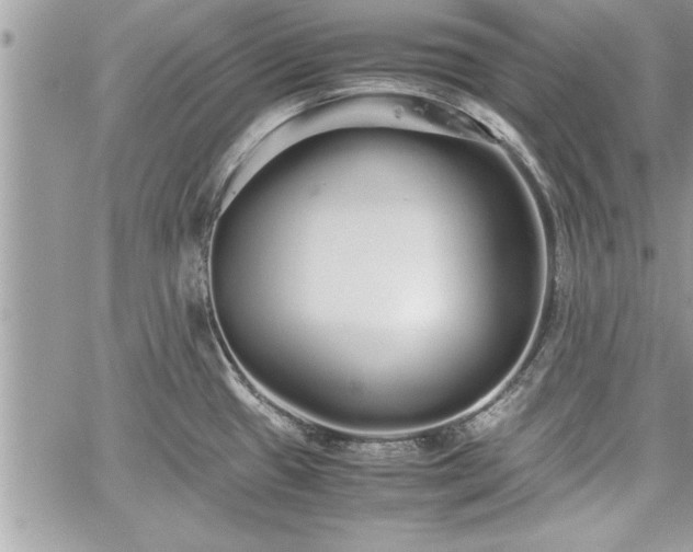 X0000060261433200511010901