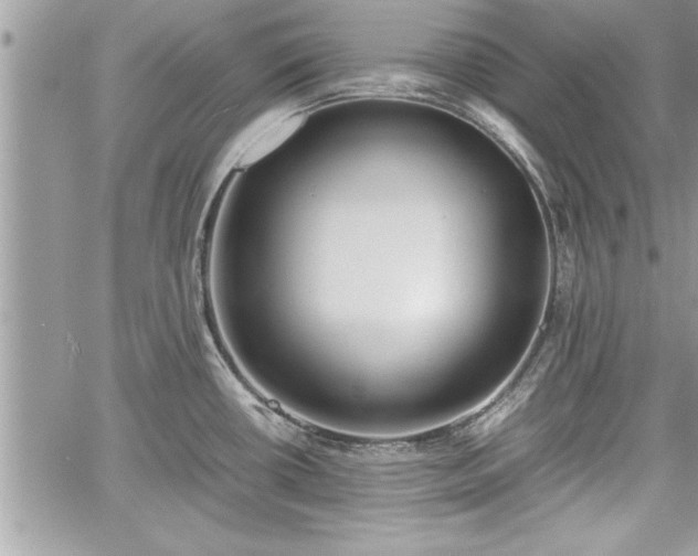 X0000060261434200511010901