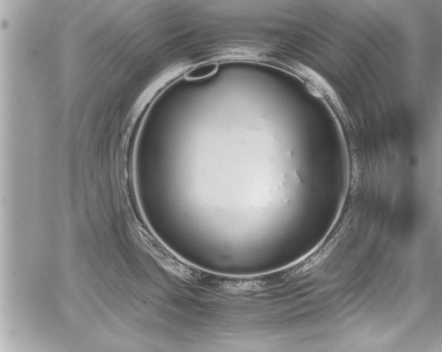 X0000060261435200511010901